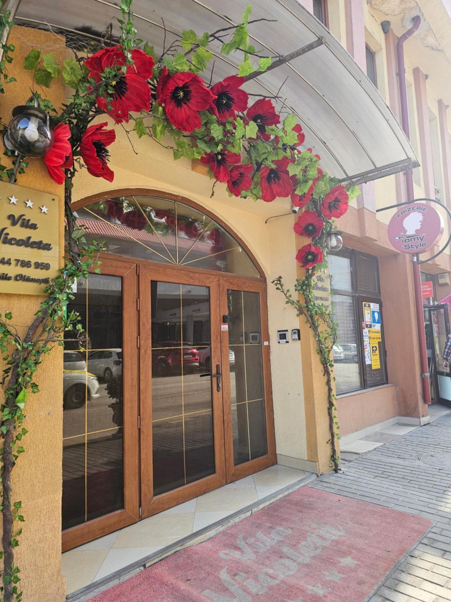 Vila Nicoleta Baile Olanesti Exterior photo