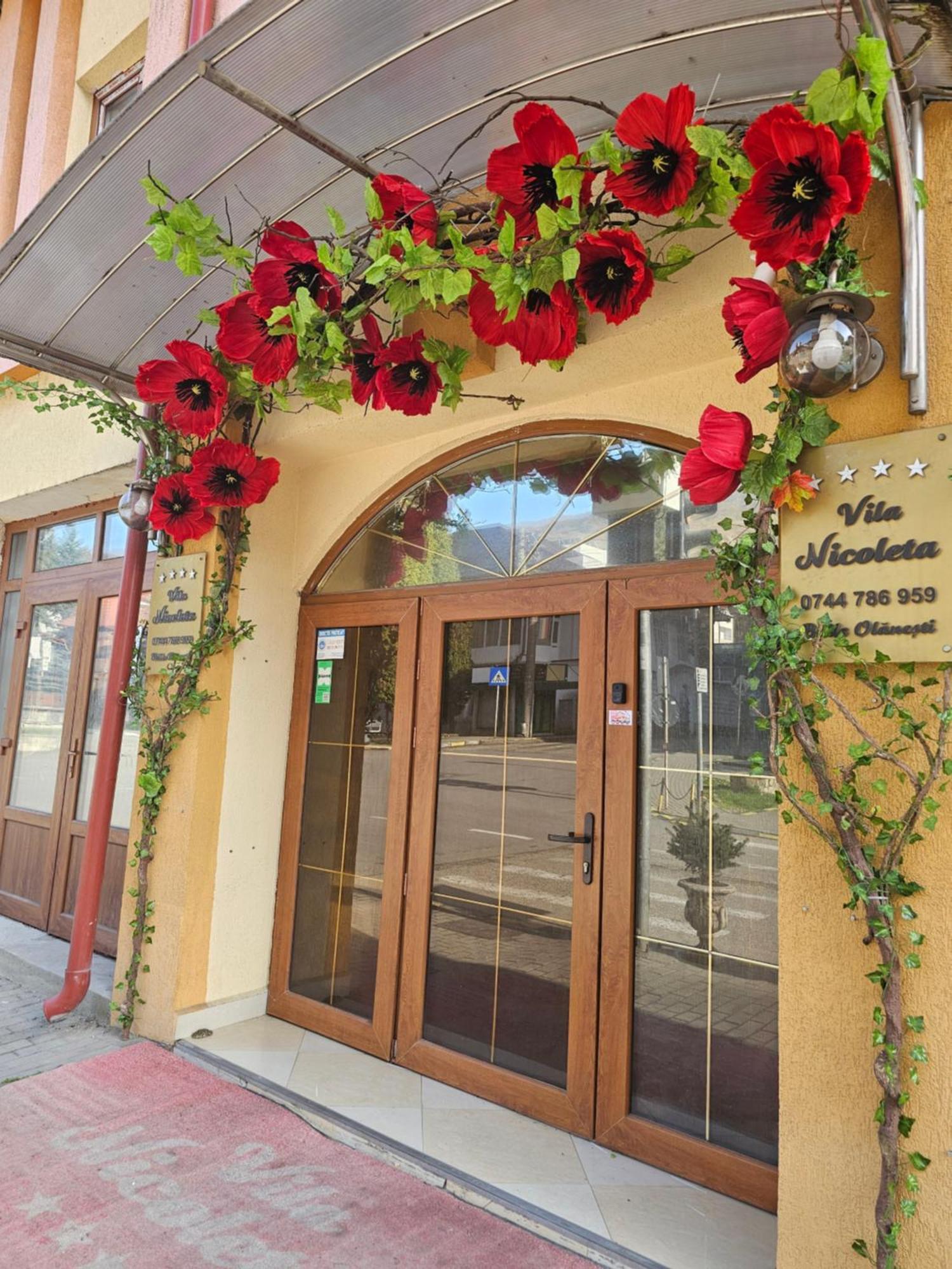 Vila Nicoleta Baile Olanesti Exterior photo
